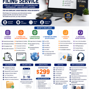 USA Company Tax return Service